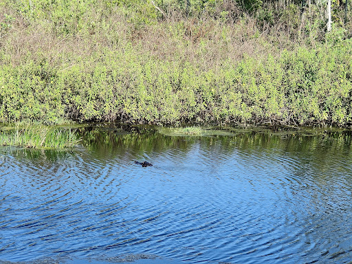 Golf Course «Orange Lake Golf», reviews and photos, 8505 W Irlo Bronson Memorial Hwy, Kissimmee, FL 34747, USA