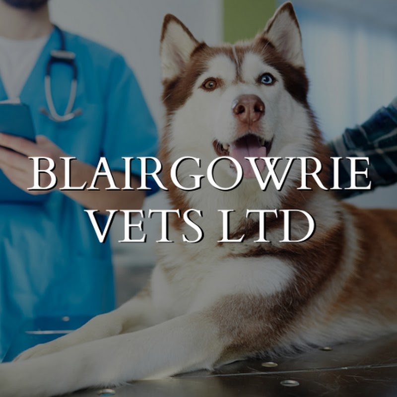 Blairgowrie Vets Ltd
