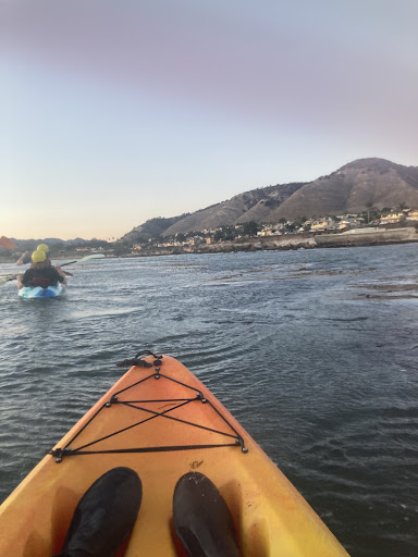 Surf Shop «Pismo Beach Surf Shop», reviews and photos, 470 Price St, Pismo Beach, CA 93449, USA