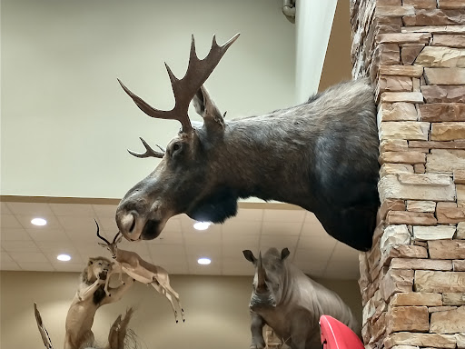 Hunting and Fishing Store «Woods & Water Inc», reviews and photos, 5101 Summit Ridge, Tuscaloosa, AL 35405, USA