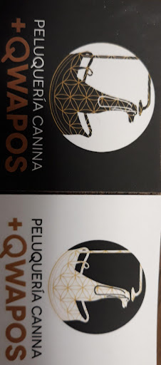 Peluqueria canina + QWapos - Eibar