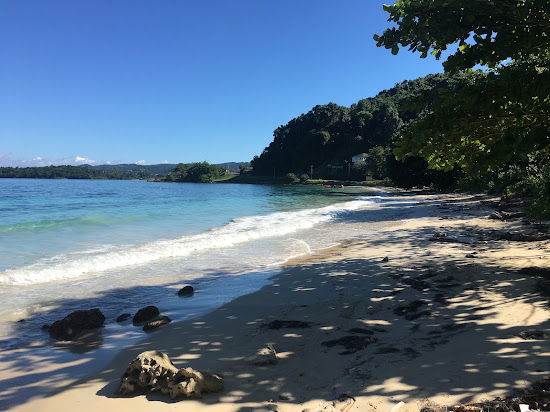 Norwich beach