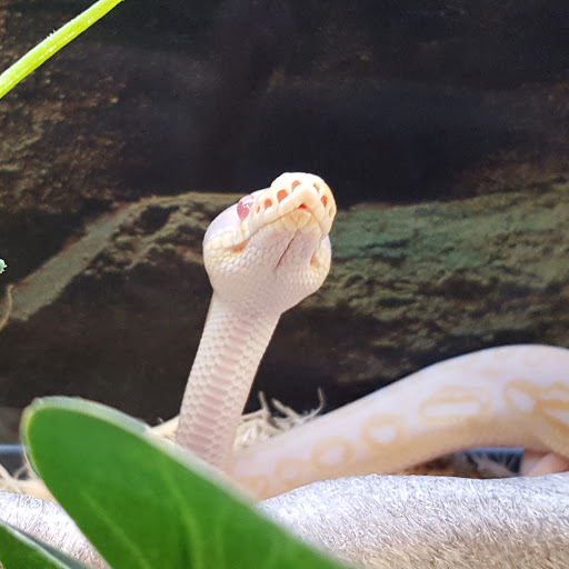 Pet Supply Store «Petco Animal Supplies», reviews and photos, 280 Kensington Blvd, Slidell, LA 70458, USA