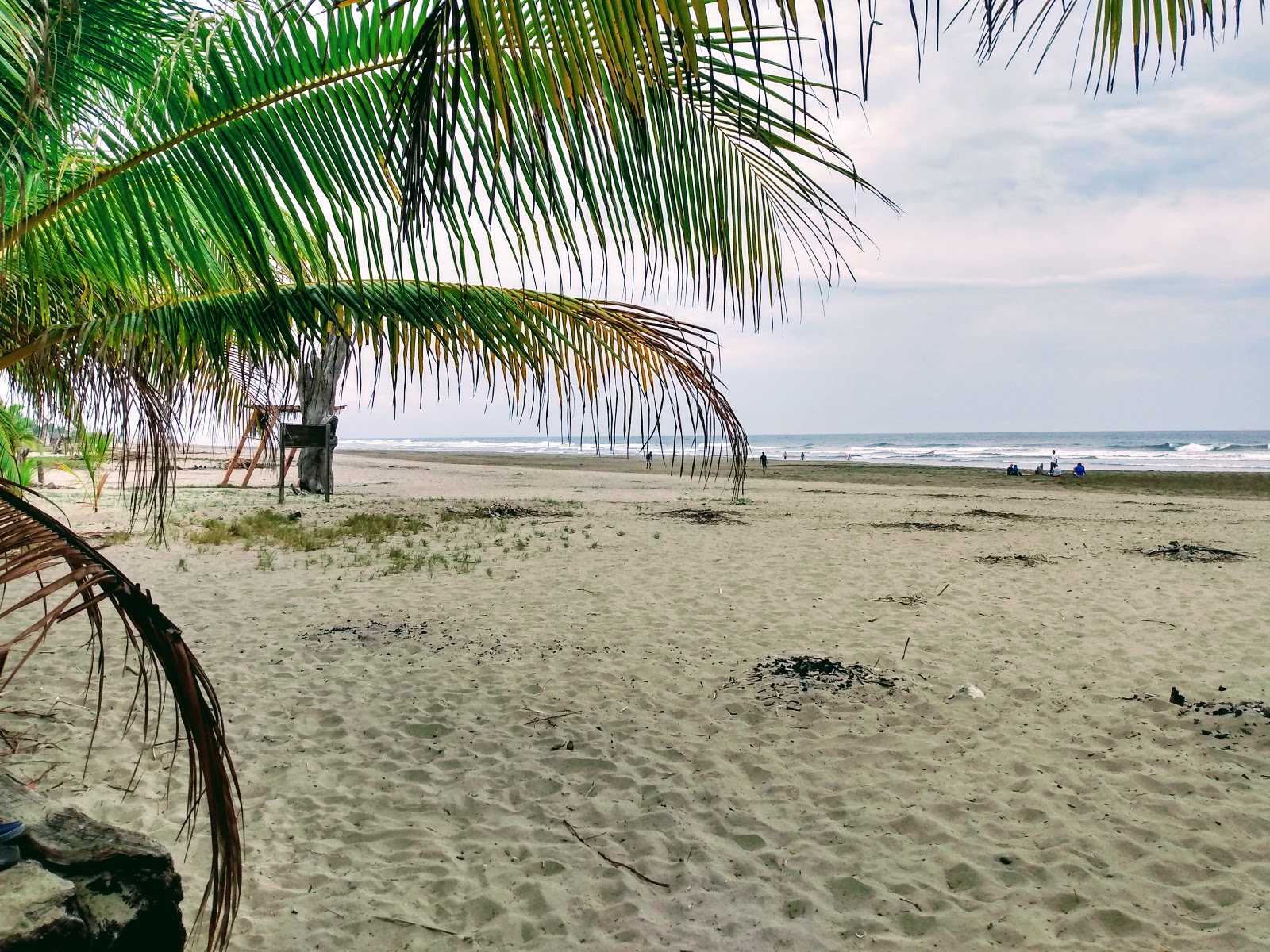Fotografija Playa Chuquiapan divje območje