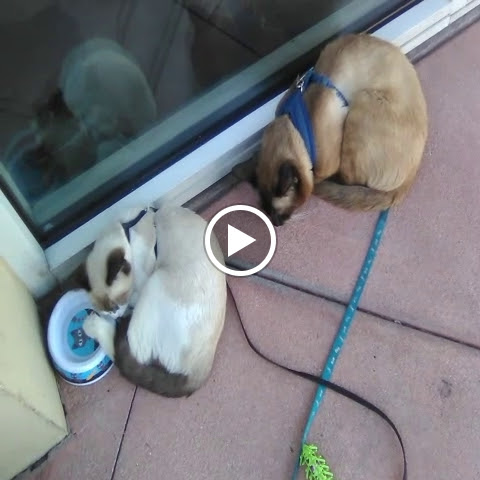 Coffee Shop «Starbucks», reviews and photos, 11979 Garvey Ave, El Monte, CA 91732, USA