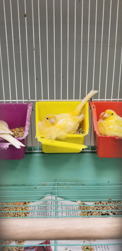 Pet Store «Pet World Warehouse Outlet», reviews and photos, 2984 S 108th St, Milwaukee, WI 53227, USA