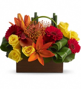 Florist «Floral Impressions», reviews and photos, 4203 W El Prado Blvd # A, Tampa, FL 33629, USA