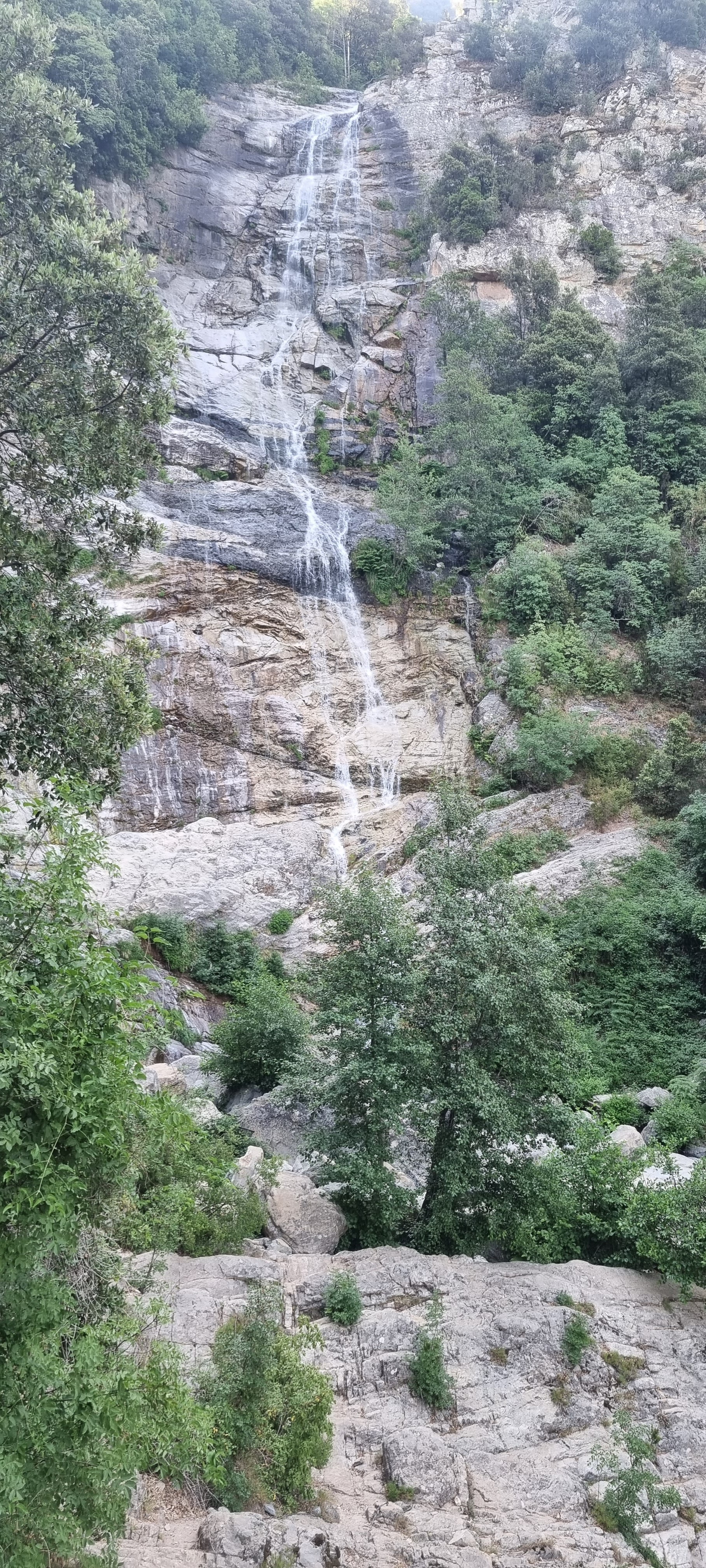 Photo n° 2 de l'avis de Norbert.e fait le 18/06/2022 à 18:02
