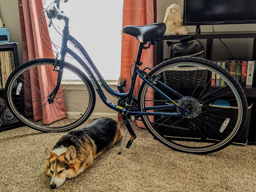 Bicycle Store «Pee Dee Bicycle», reviews and photos, 1600 Farrow Pkwy B1, Myrtle Beach, SC 29577, USA