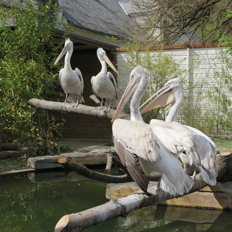 Photo n° 8 de l'avis de JooHee.A fait le 23/08/2018 à 13:16