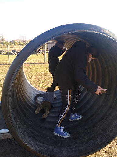 Christmas Tree Farm «Piney Acres», reviews and photos, 1115 E 1000 N, Fortville, IN 46040, USA