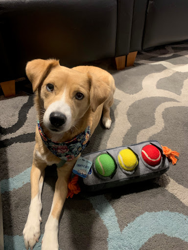 Subaru Dealer «Subaru of Puyallup», reviews and photos, 720 River Rd, Puyallup, WA 98371, USA