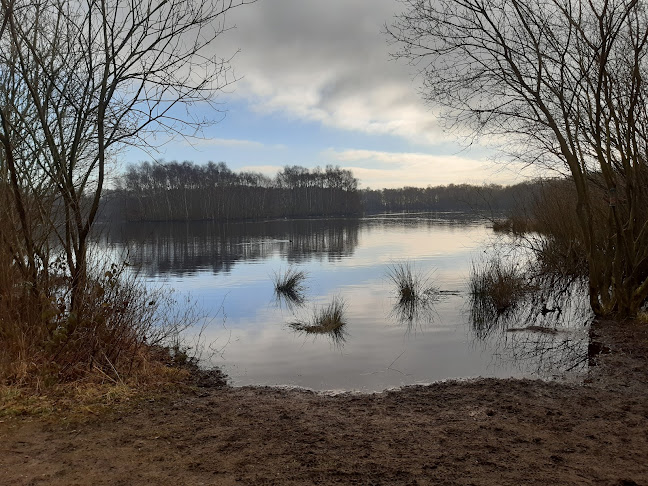 Reviews of Hatfield Moors Nature Reserve in Doncaster - Other