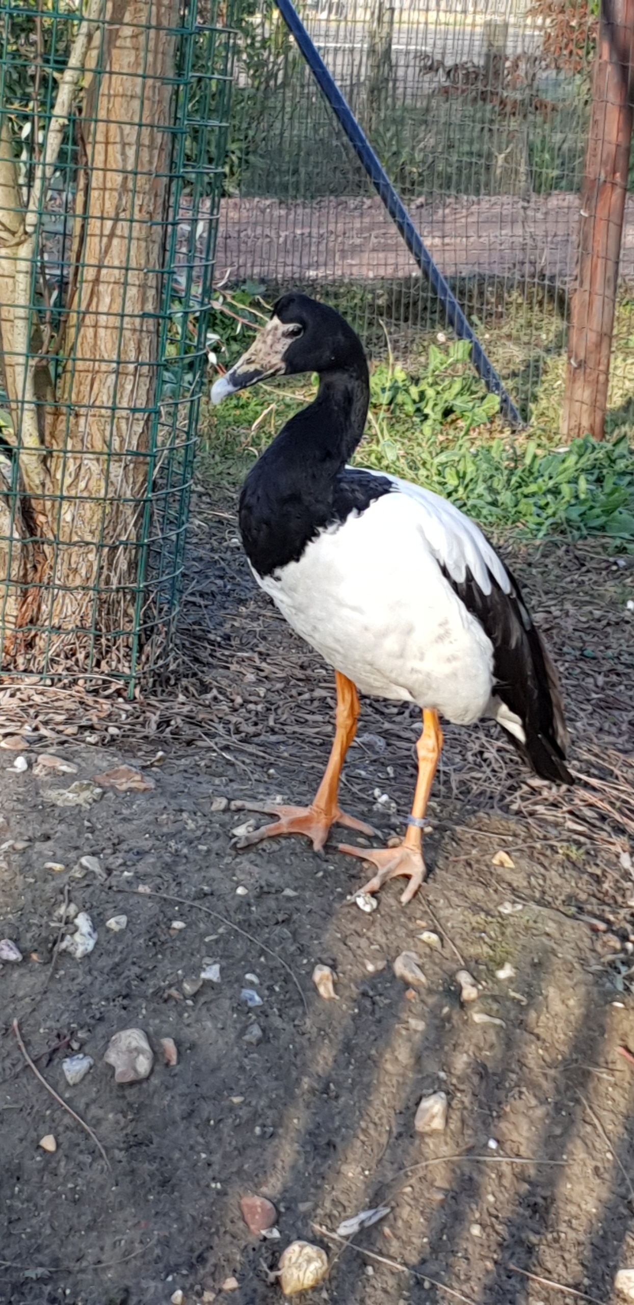 Photo n° 9 de l'avis de DENIVELLE.n fait le 24/12/2018 à 08:35