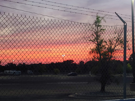 Auto Auction «Manheim Detroit», reviews and photos, 600 Will Carleton Rd, Carleton, MI 48117, USA