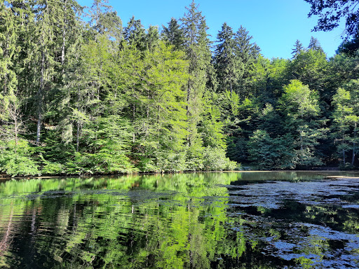 Kreuzbergl Lake 3