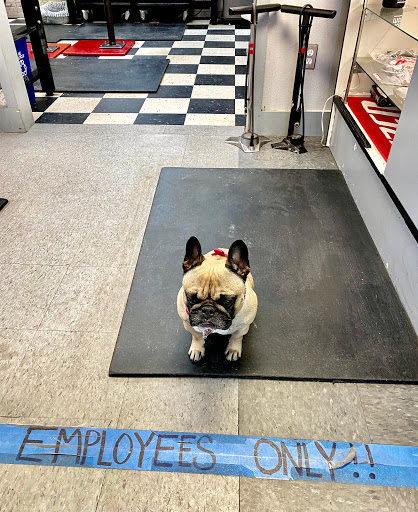 Pet Supply Store «Republic of Paws», reviews and photos, 2411 W Colorado Ave, Colorado Springs, CO 80904, USA