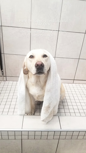 Pet Supply Store «Pet Supplies Plus», reviews and photos, 305 Sidney Baker St S #400, Kerrville, TX 78028, USA