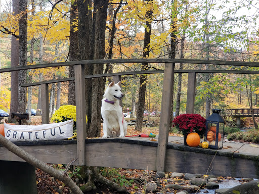 Gift Shop «Impressions of Saratoga», reviews and photos, 368 Broadway, Saratoga Springs, NY 12866, USA