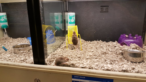 Pet Supply Store «PetSmart», reviews and photos, 1846 Wentzville Pkwy, Wentzville, MO 63385, USA