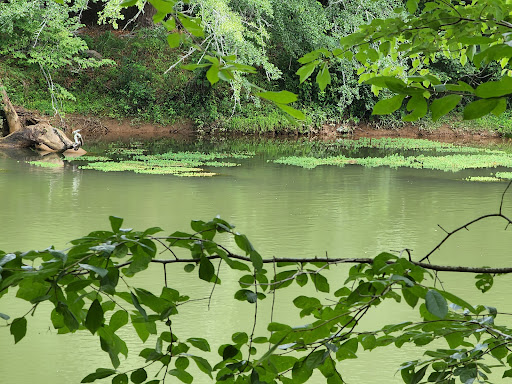 Park «Jones Bridge Park», reviews and photos, 4901 E Jones Bridge Rd, Peachtree Corners, GA 30092, USA
