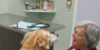 Northwood Animal Hospital