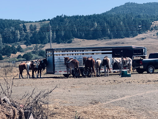Stable «Ross Ranch», reviews and photos, 28300 Philo Greenwood Rd, Elk, CA 95432, USA