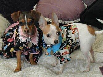 Buttercup & Peanut Pet Clothing, Accessories and Supplies
