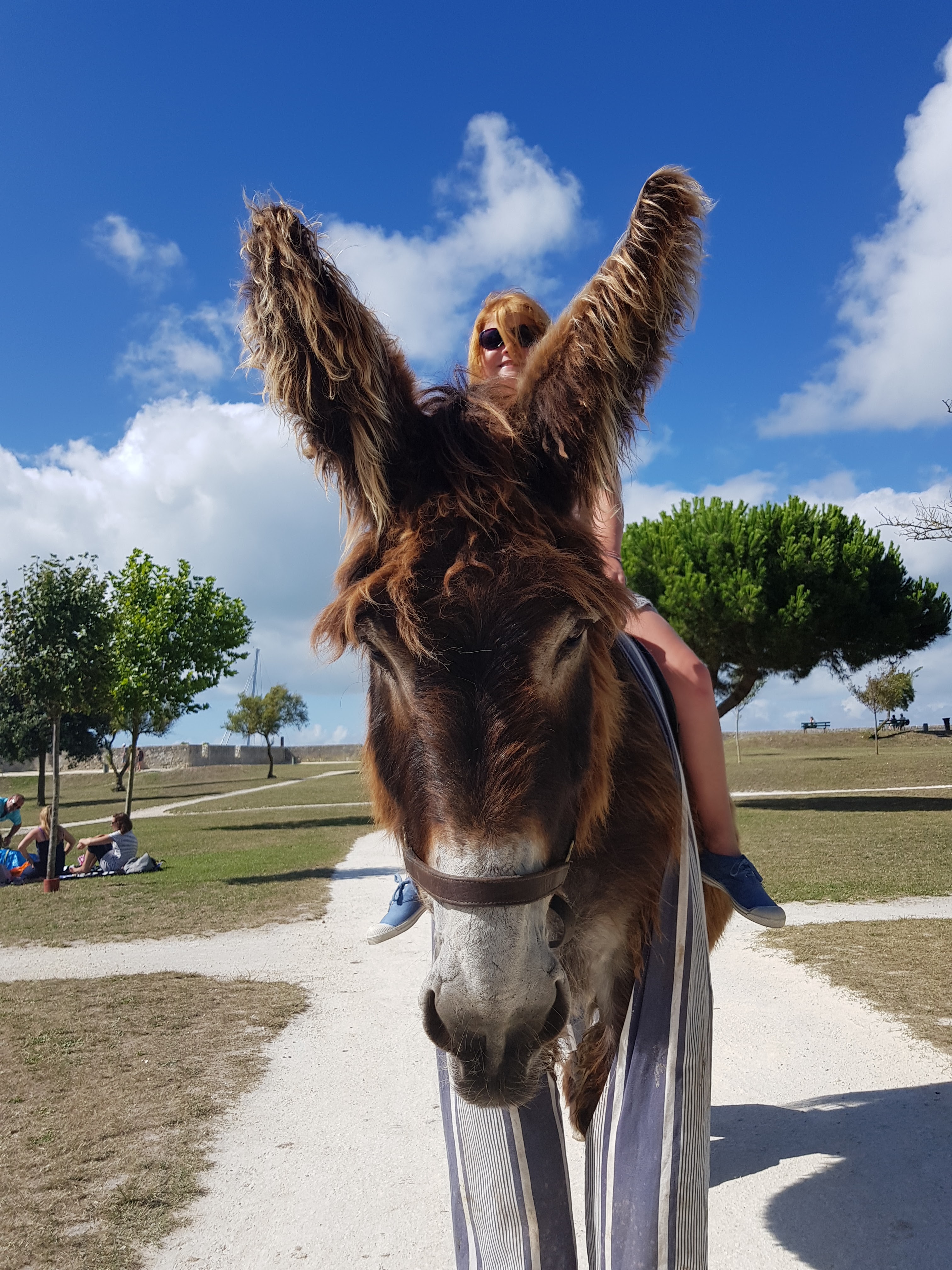 Photo n° 1 de l'avis de roxane.l fait le 01/08/2017 à 17:20