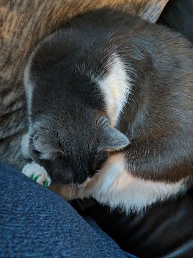 Pet Store «Pet Valu», reviews and photos, 604 Plaza Dr, Newark, DE 19702, USA