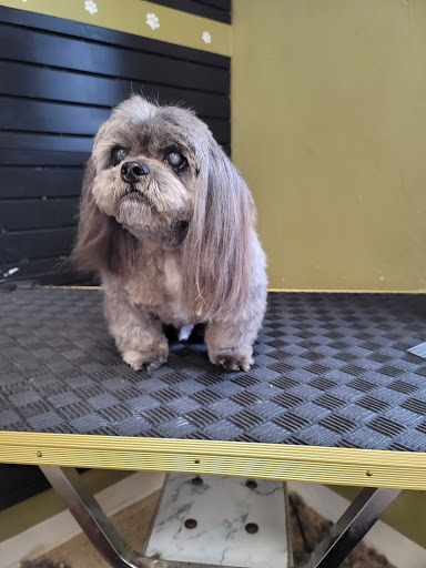 Wags N Whiskers 2nd Generation LLC