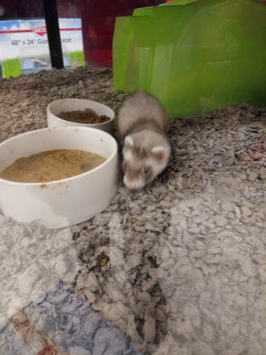 Pet Supply Store «Petco Animal Supplies», reviews and photos, 65 Taunton Depot Dr A, Taunton, MA 02780, USA