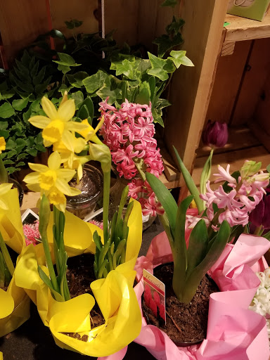 Grocery Store «The Fresh Market», reviews and photos, 526 21st St, Vero Beach, FL 32960, USA