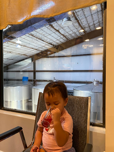 Vineyard «Chautauqua Vineyard & Winery», reviews and photos, 364 Hugh Adams Rd, Defuniak Springs, FL 32435, USA