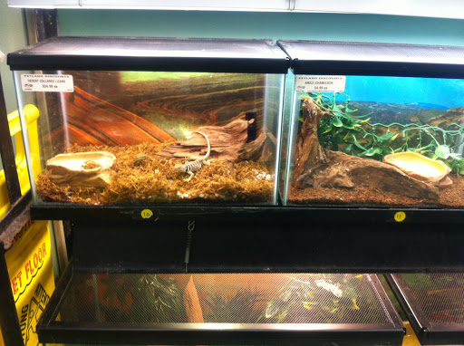 Petland Discounts - 125th Street, 167 E 125th St, New York, NY 10035, USA, 