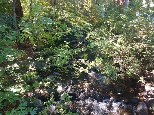 Performing Arts Theater «Oregon Shakespeare Festival», reviews and photos