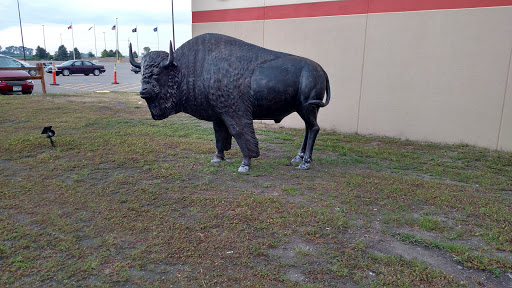 Casino «Dakota Magic Casino», reviews and photos, 16849 102nd St SE, Hankinson, ND 58041, USA