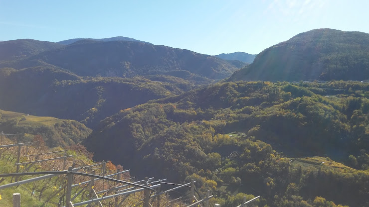 Photos des visiteurs Vacances à la ferme Agriturismo Ress Emilio 38030 Giovo