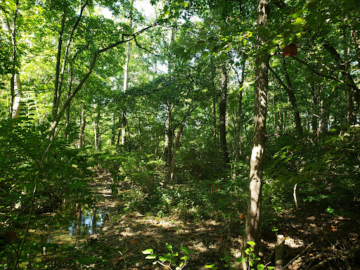 Golf Course «Delaware Golf Club», reviews and photos, 3329 Columbus Pike, Delaware, OH 43015, USA