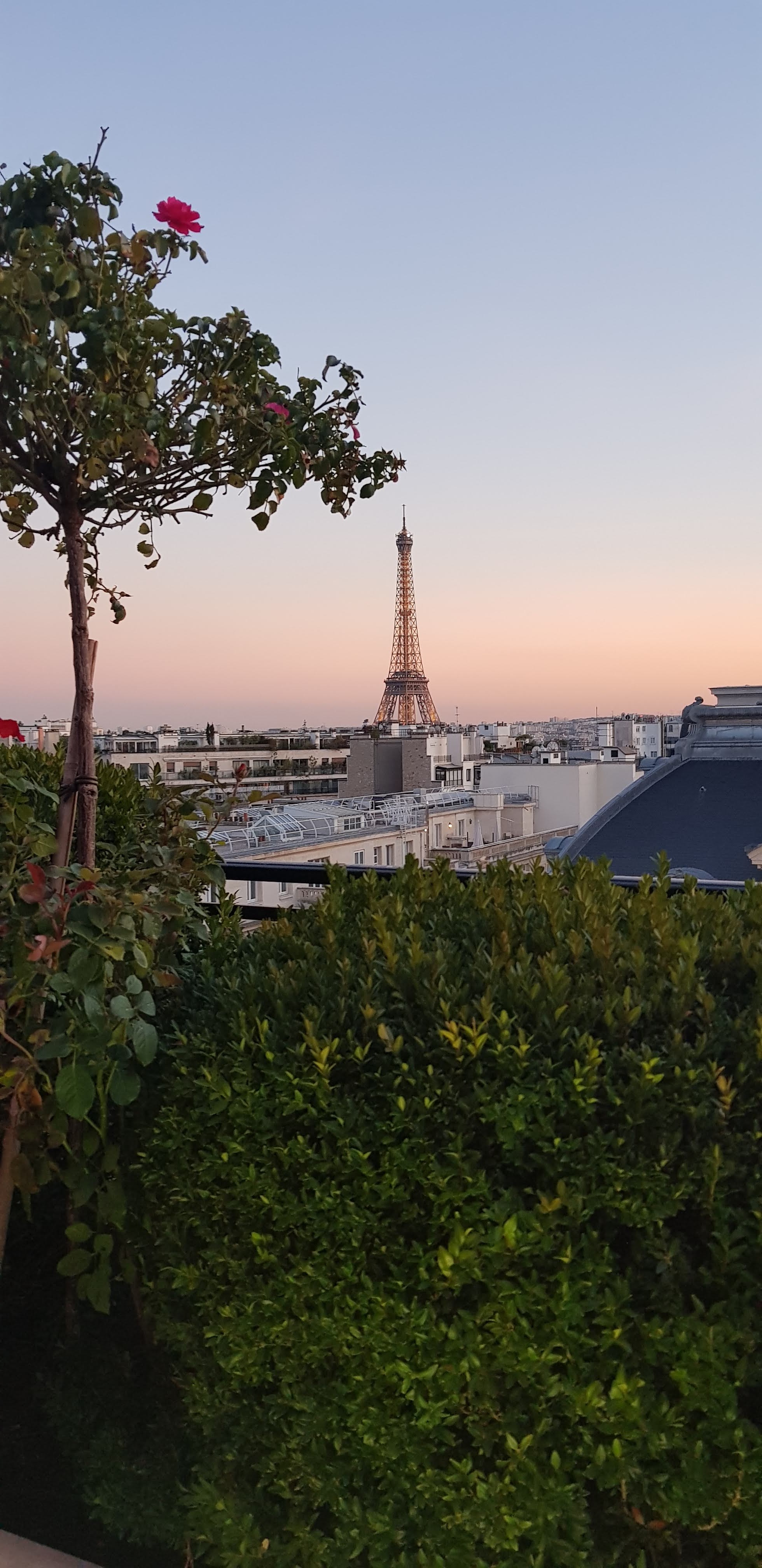 Photo n° 1 de l'avis de mezani.a fait le 19/09/2018 à 12:29