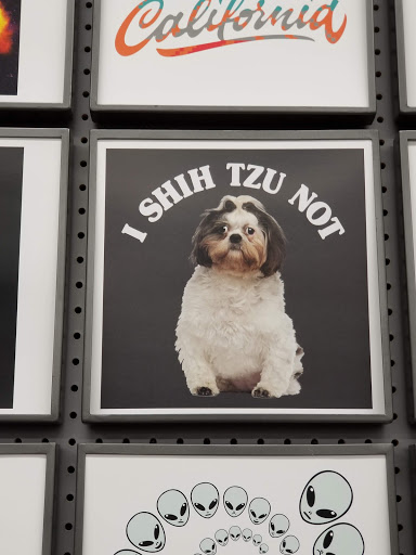 Variety Store «Five Below», reviews and photos, 1730 W Fullerton Ave #17, Chicago, IL 60614, USA