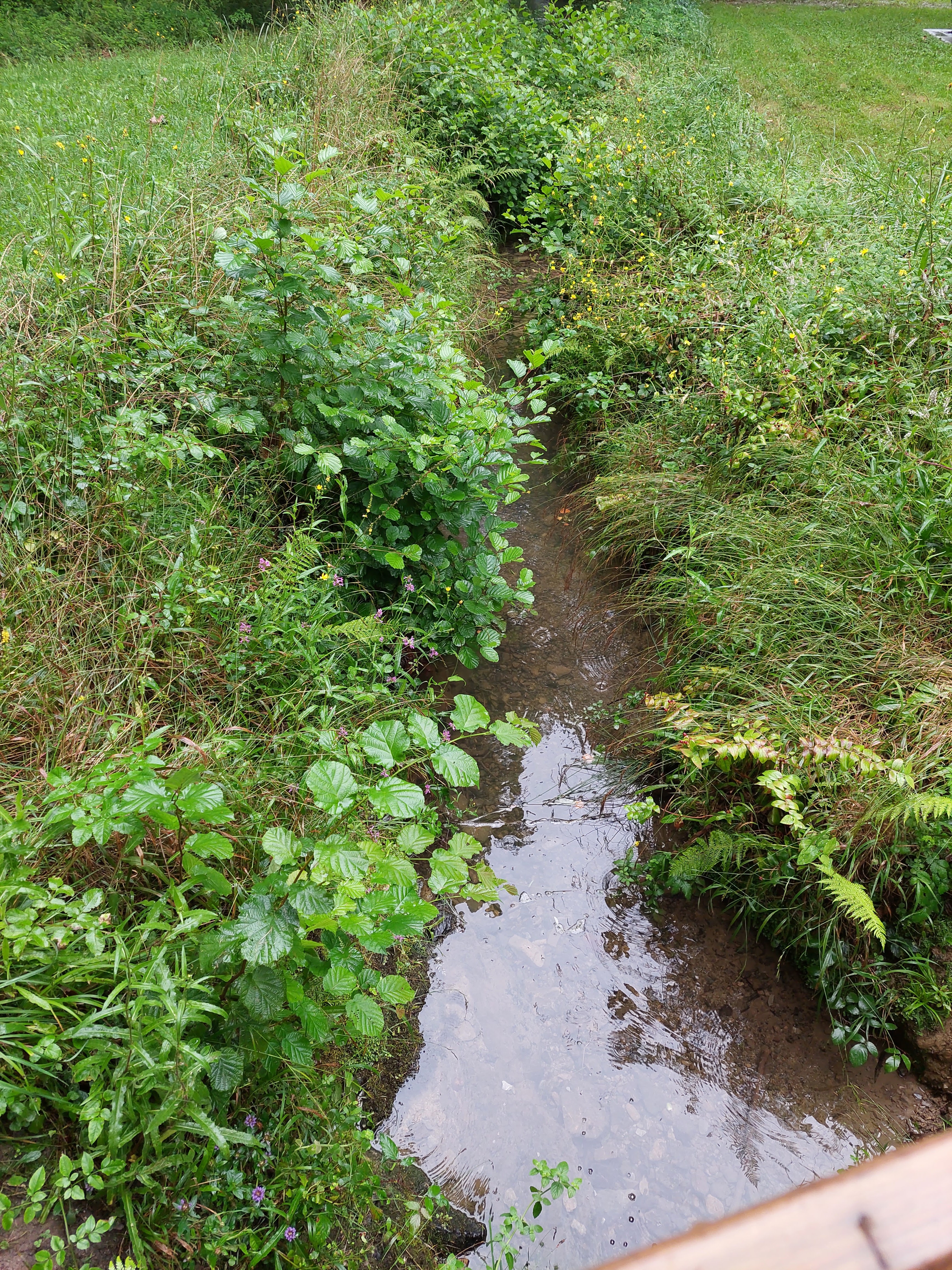 Photo n° 3 de l'avis de Maïté.e fait le 05/08/2023 à 20:54