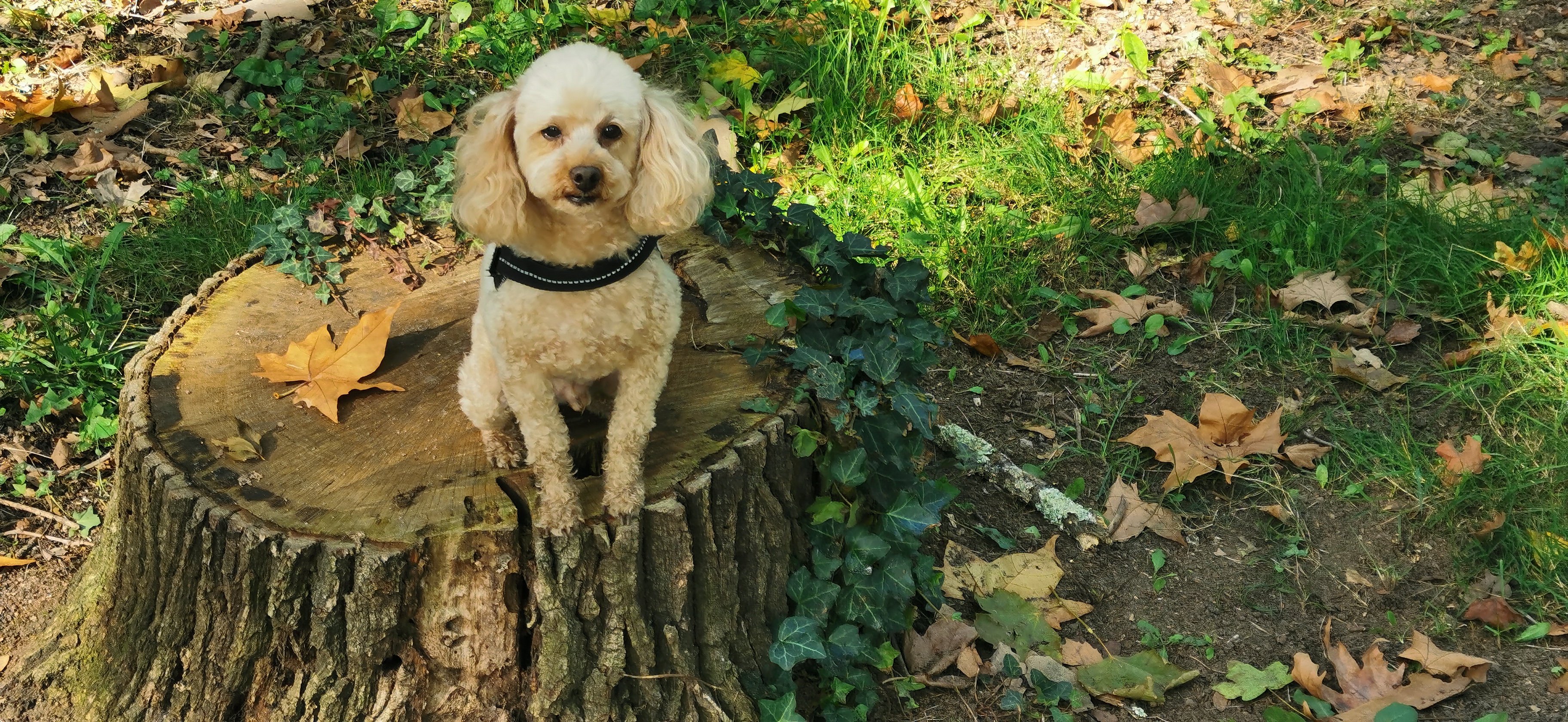 Photo n° 1 de l'avis de Nicole.u fait le 22/02/2022 à 14:21