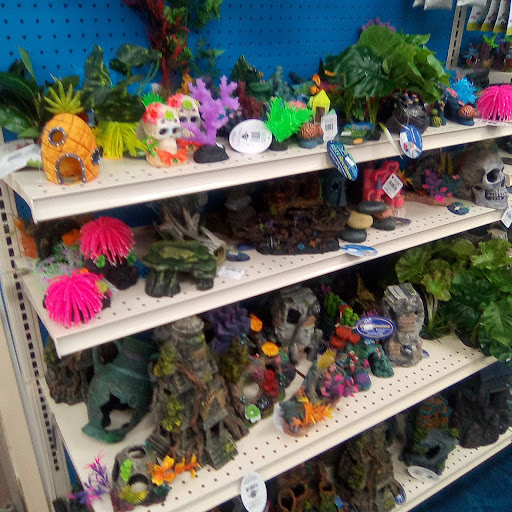 Pet Store «Pet Supermarket, Inc.», reviews and photos, 1938 FL-44 #40, New Smyrna Beach, FL 32168, USA