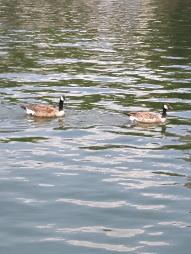 Park «Liberty State Park», reviews and photos, 200 Morris Pesin Dr, Jersey City, NJ 07305, USA