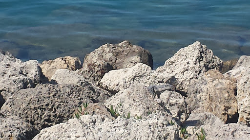 State Park «Bill Baggs Cape Florida State Park», reviews and photos, 1200 Crandon Blvd, Key Biscayne, FL 33149, USA