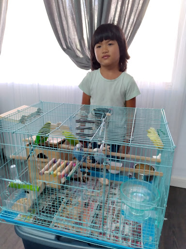 Pet Supply Store «PetSmart», reviews and photos, 12483 Limonite Ave, Mira Loma, CA 91752, USA