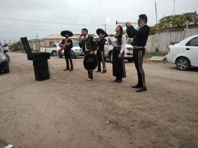 Comentarios y opiniones de Mariachi Sol Peninsular