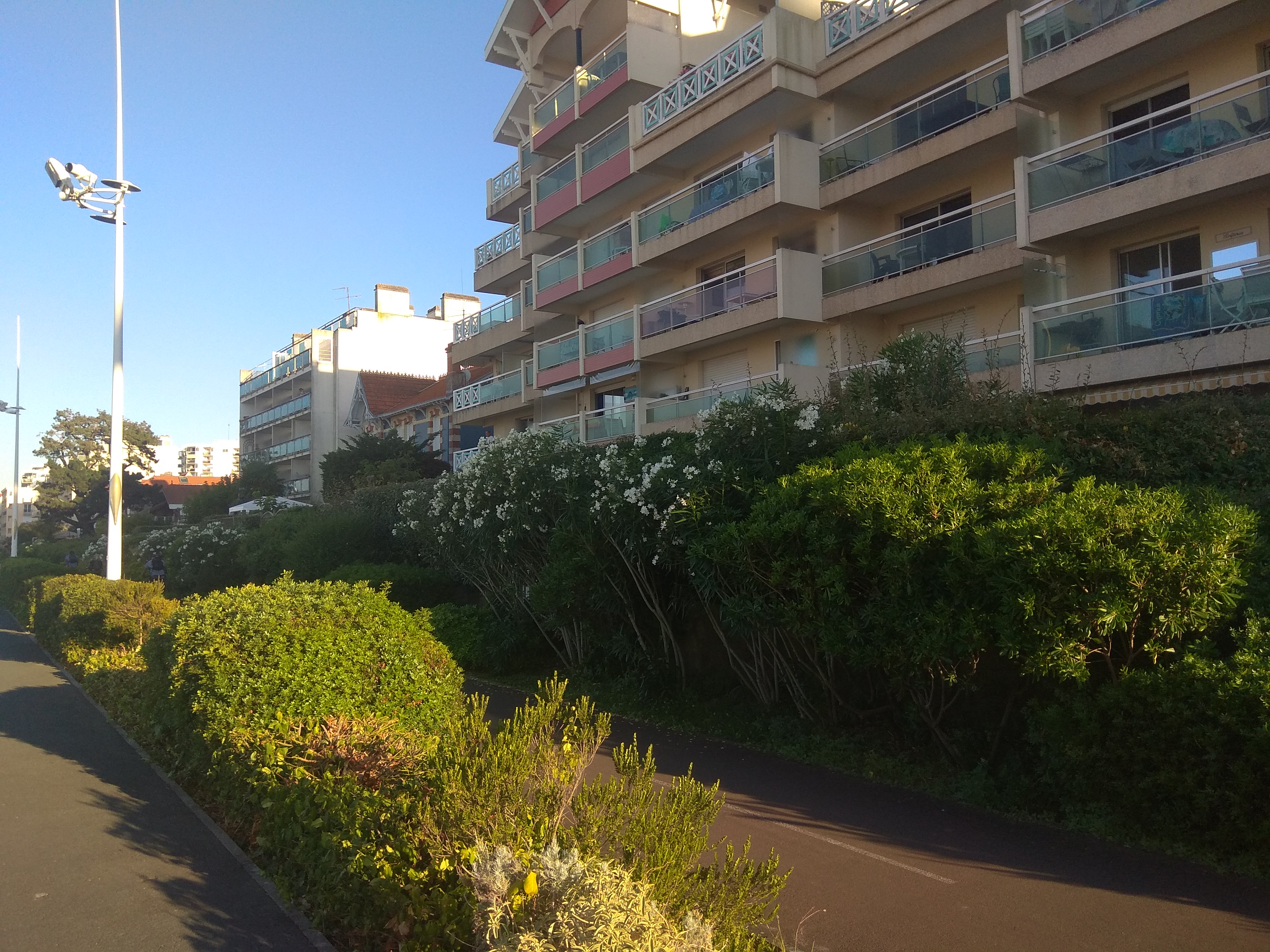 Photo n° 1 de l'avis de Rémi. fait le 06/08/2020 à 17:58