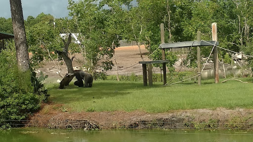 Zoo «Gulf Breeze Zoo», reviews and photos, 5701 Gulf Breeze Pkwy, Gulf Breeze, FL 32563, USA